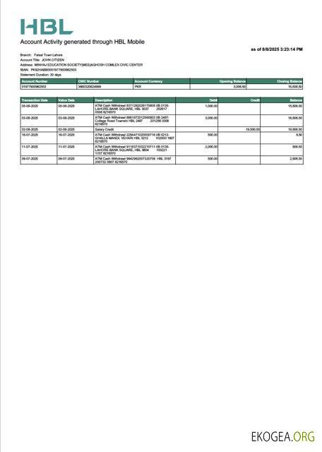 Relevé de compte Pakistan HBL Modèle Word et PDF